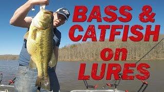 Fishing for bass and catfish with lures. Swim baits and jigs for giant fish!