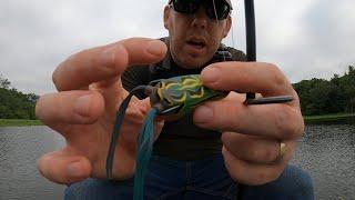 Fishing with Bass & Snakeheads with Top Water Lures
